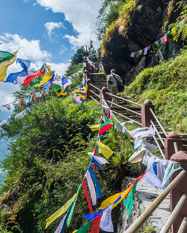 South Asia flags on a stairway